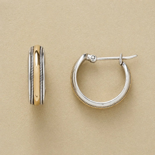 Shimmering Gold Silver Hoop Earrings